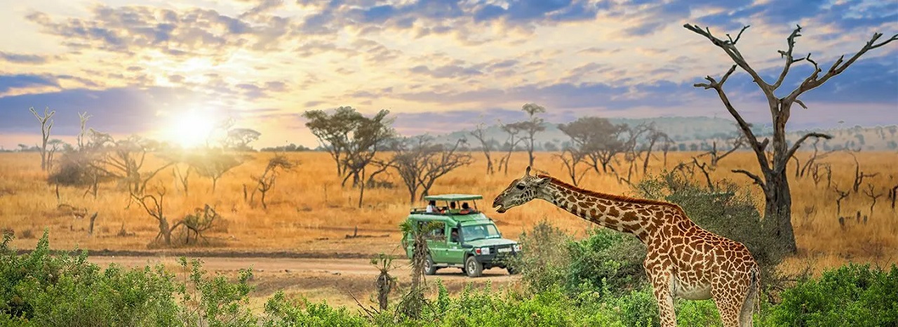 African Waterfall