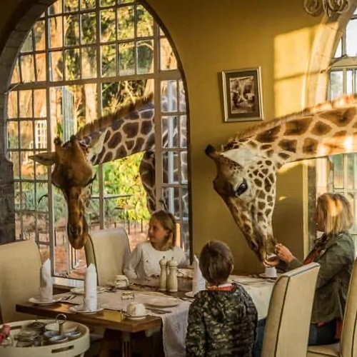 Red Elephant Safari - Amboseli, Tsavo West and Tsavo East - Four days from Nairobi