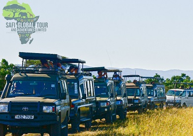 Zanzibar Safari Contents