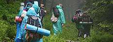 Walking safaris